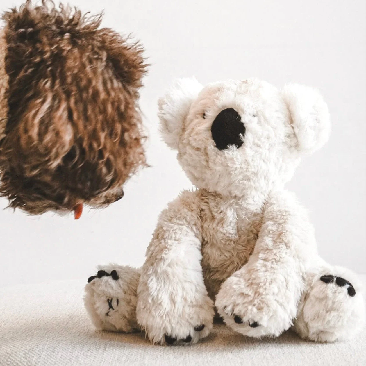 Koko Plushie Set - Image 5