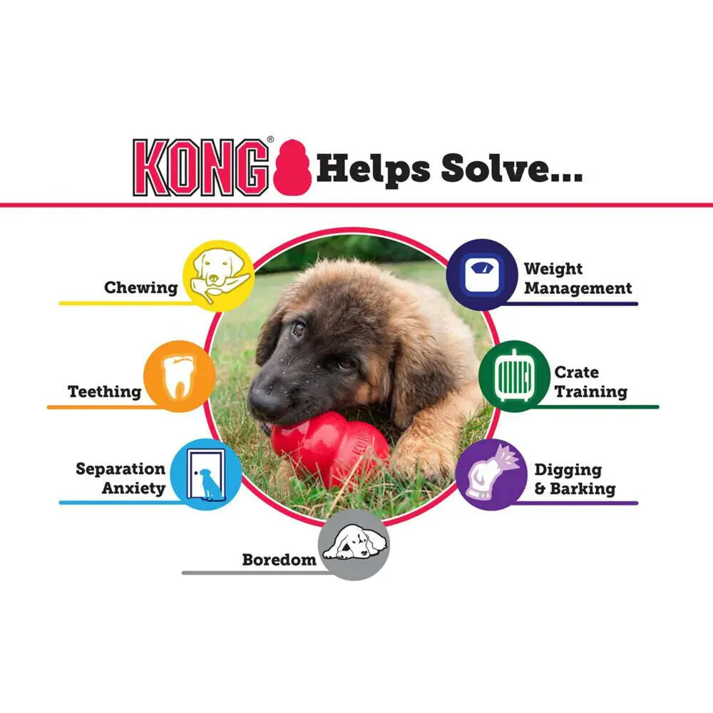 KONG Classic LARGE Durable Fetch & Chew Dog Toy Treat Stuffable 4X2.75" - Image 8