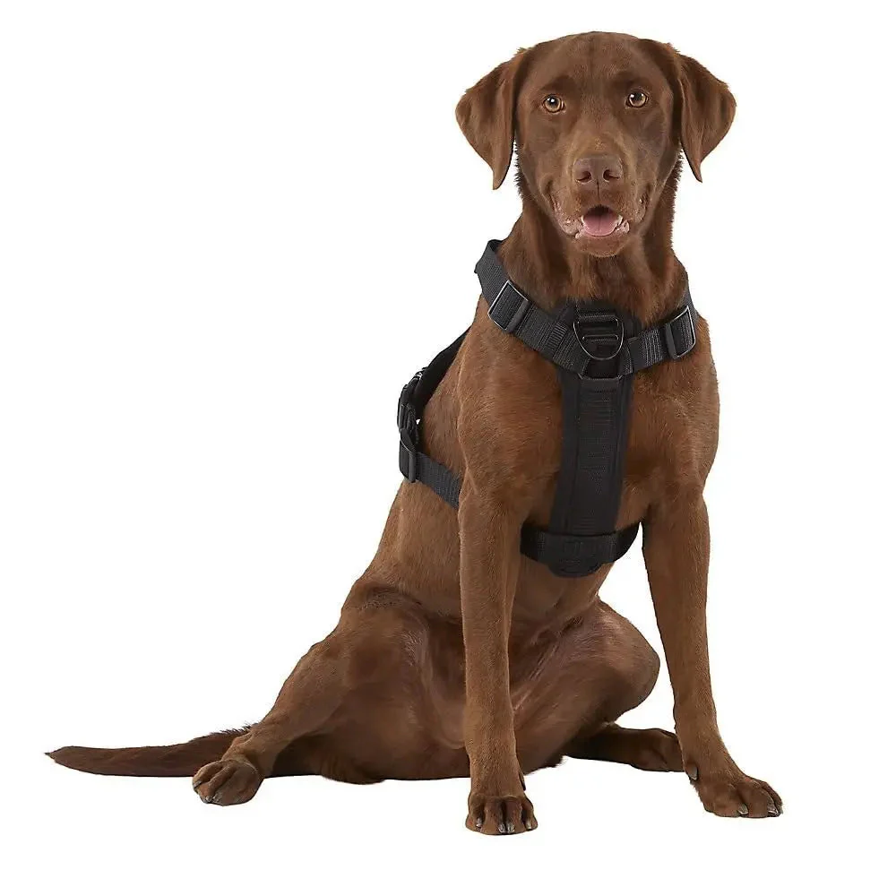Kong Large Black Dog Harness with Waste Bag Dispenser and Control Handle - Image 2