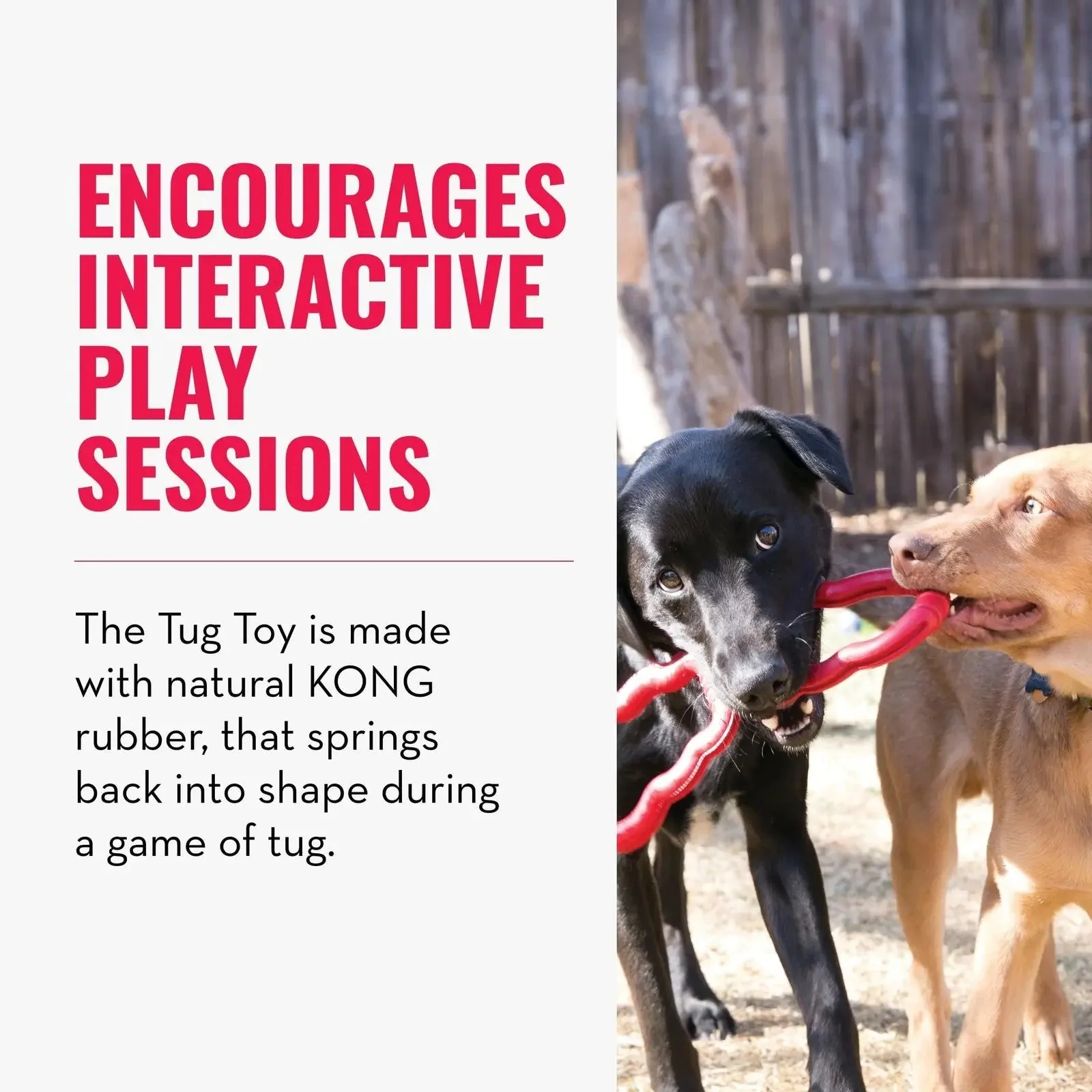 KONG - Tug - Durable Stretchy Rubber, Tug of War Dog Toy - for Medium Dogs - Image 3