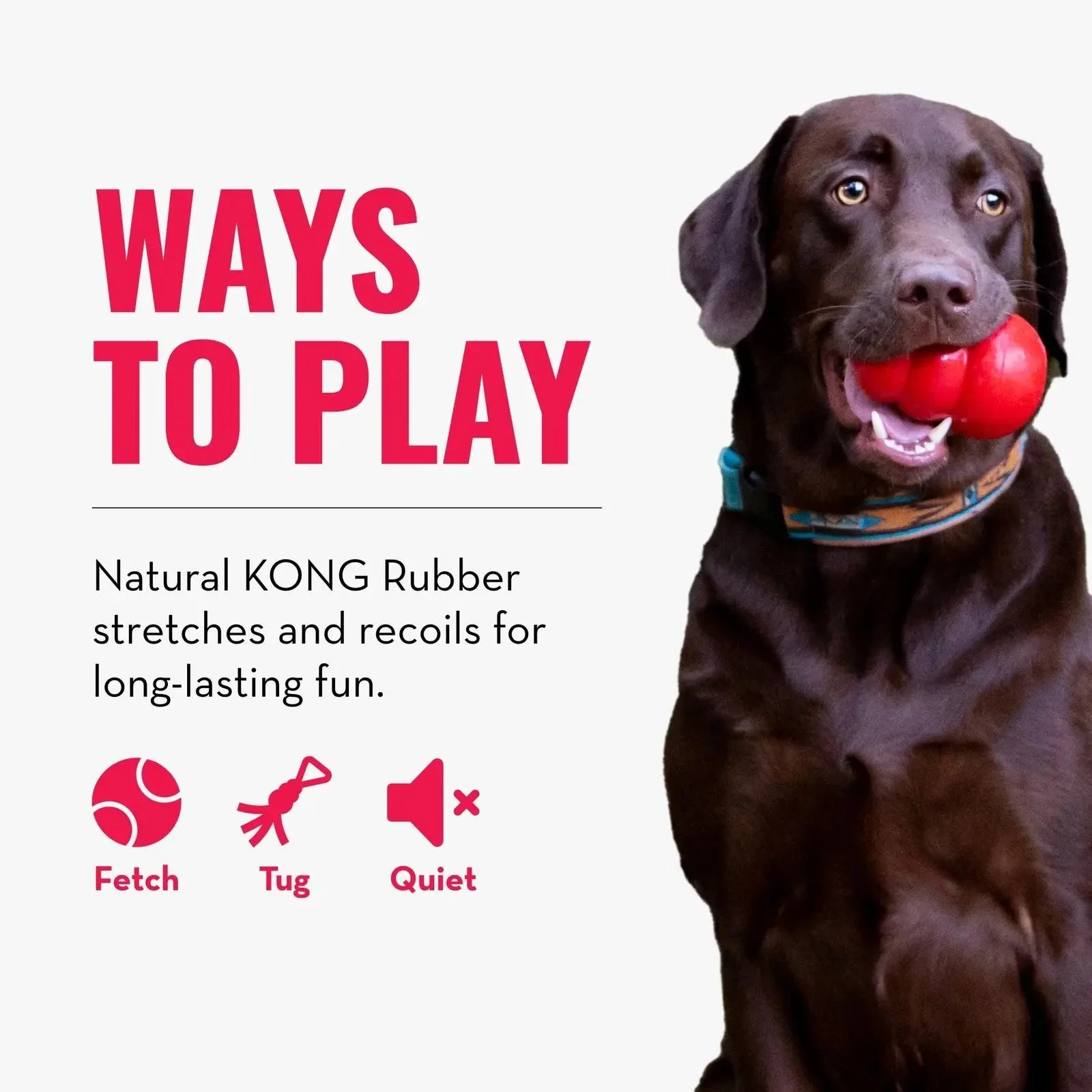 KONG - Tug - Durable Stretchy Rubber, Tug of War Dog Toy - for Medium Dogs - Image 5
