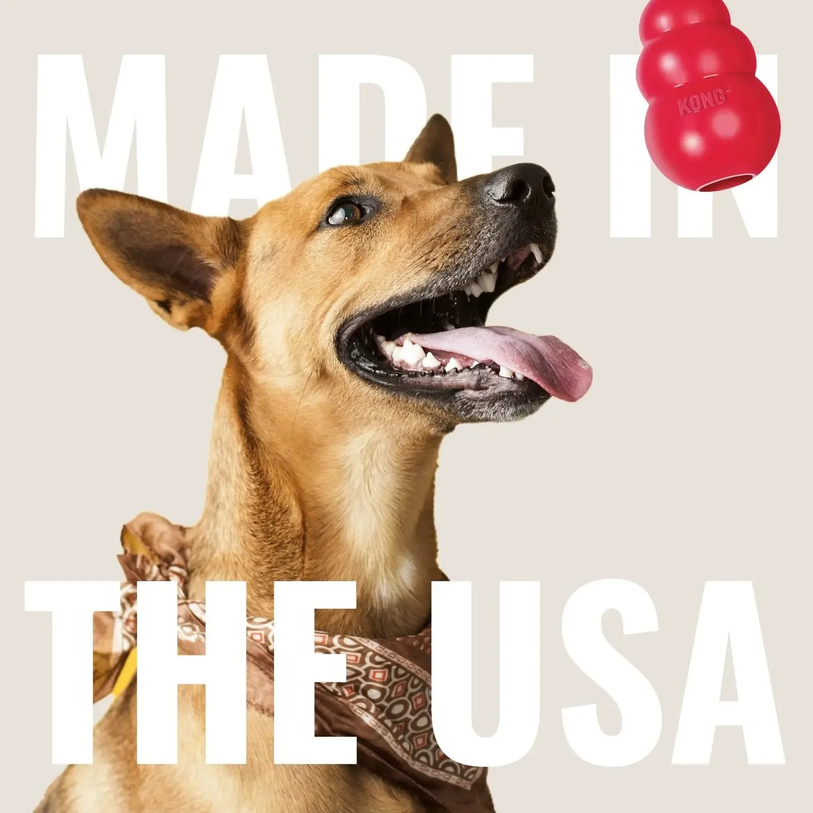 KONG - Tug - Durable Stretchy Rubber, Tug of War Dog Toy - for Medium Dogs - Image 6