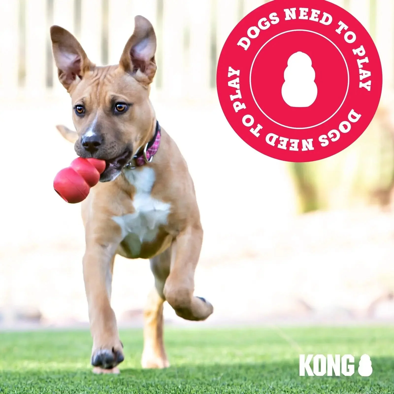 KONG - Tug - Durable Stretchy Rubber, Tug of War Dog Toy - for Medium Dogs - Image 8