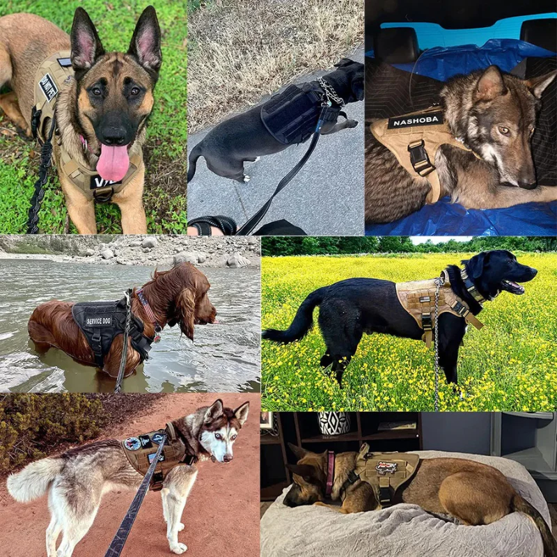 Large Dog Harness & Leash Set – Training Vest for Big Breeds - Image 13