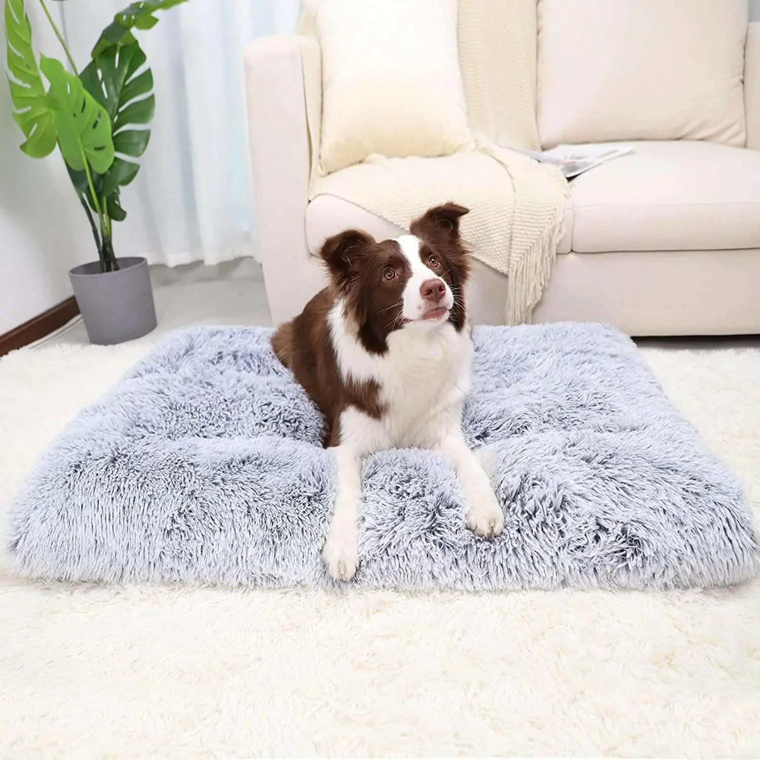 Large Dog Mats for Anxiety - Washable & Non-Slip - Image 5