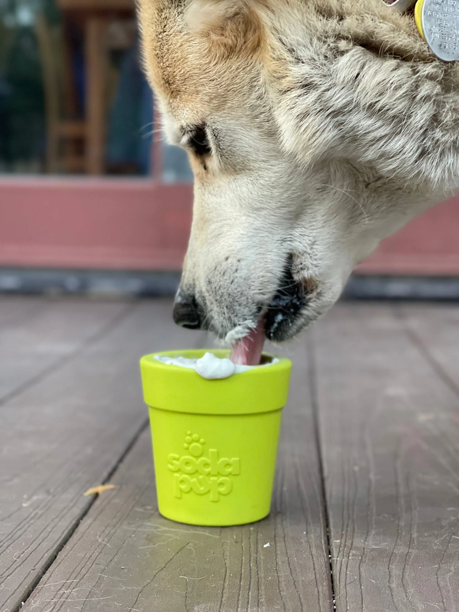 Large Flower Pot eCup Dog Treat Dispenser | Durable USA-Made Enrichment Toy | SodaPup - Image 9