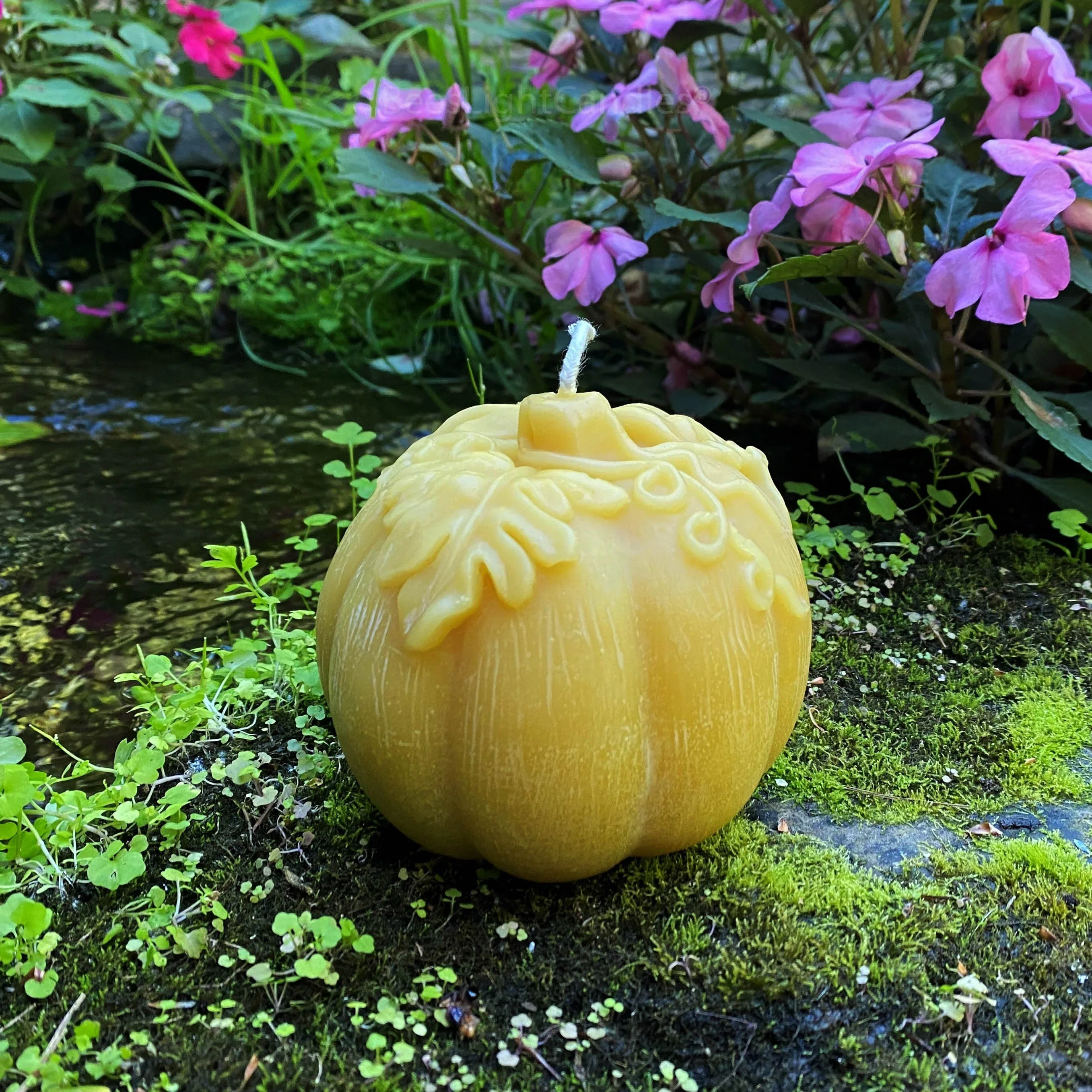 Large Pumpkin Beeswax Candle - Image 5