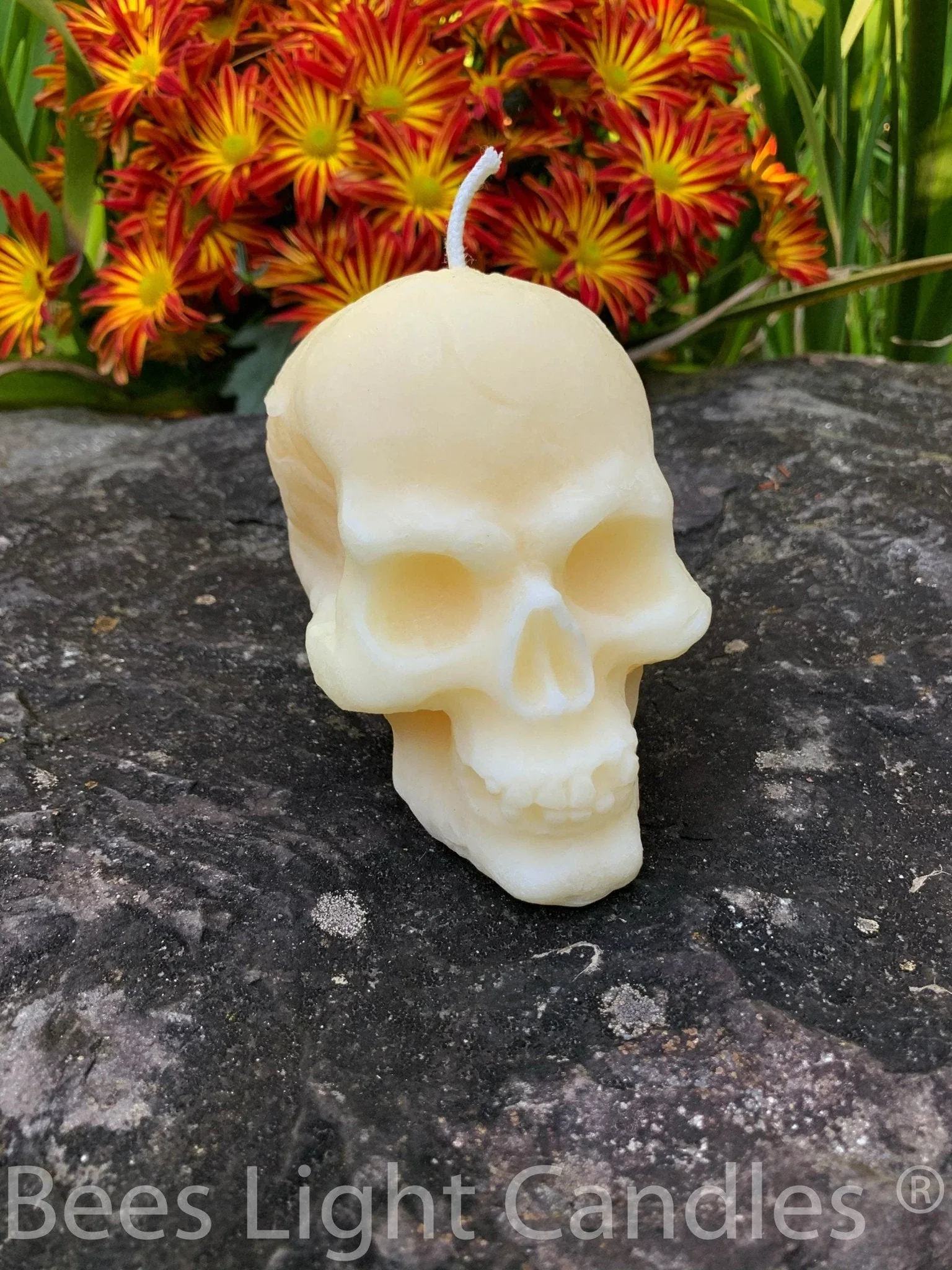 Large Skull Beeswax Candle (White or Yellow) - Image 3