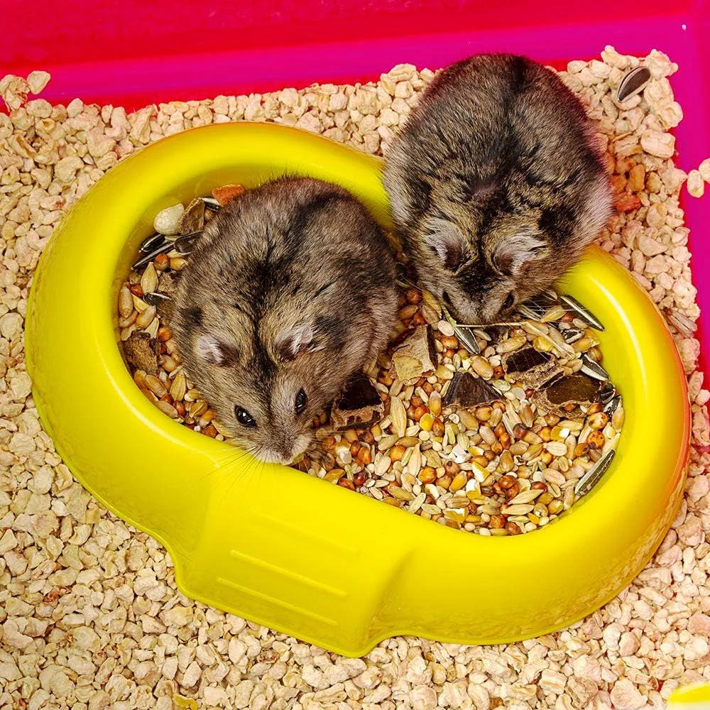 Laura Small Hamster Cage | Fun & Interactive Cage Measures 18.11L X 11.61W X 14.8H & Includes All Accessories - Image 10