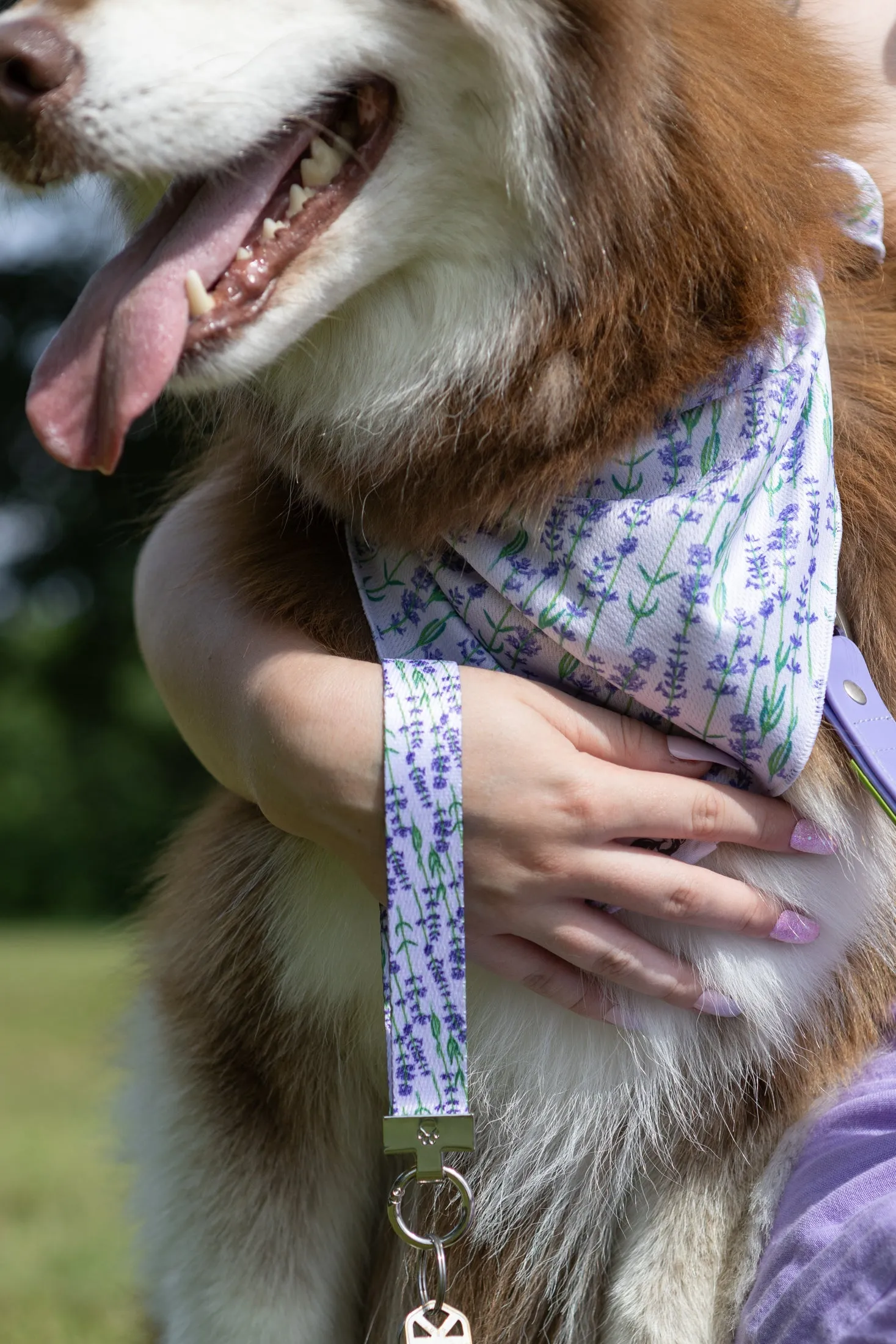 Lavender Blooms Dog Bandana & Matching Keychain - Image 2