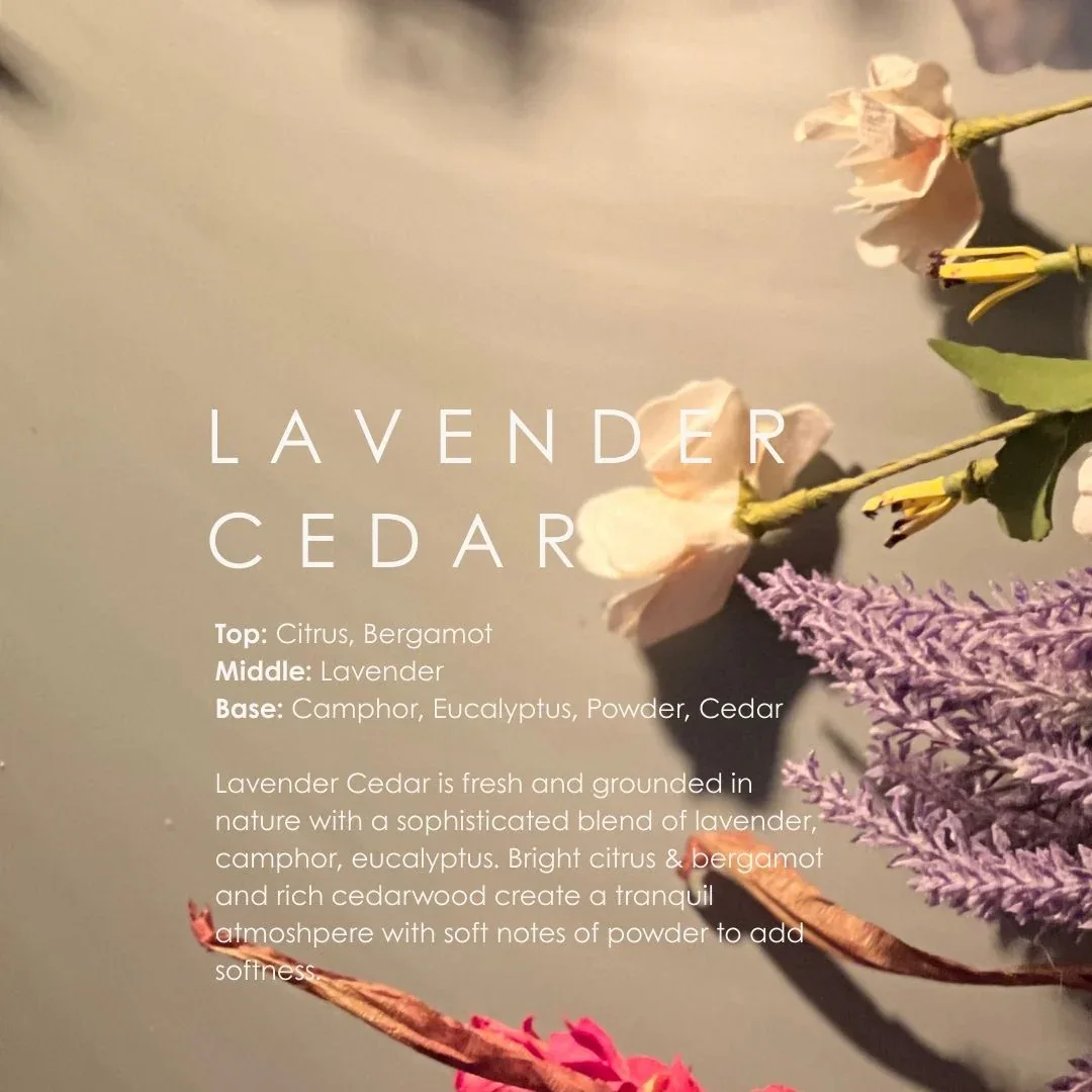 Lavender Cedar Reed Diffuser - Image 2