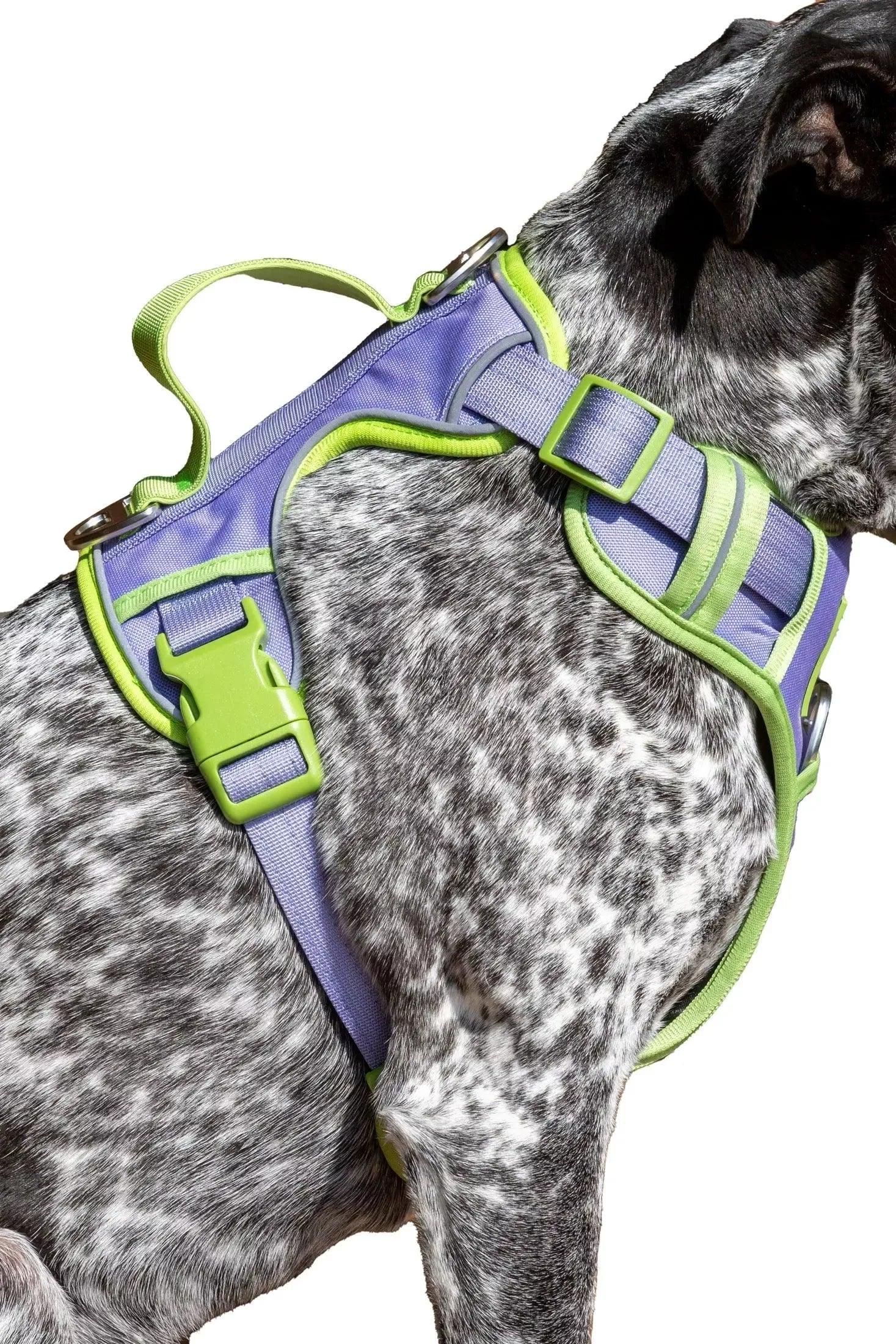 Lavender Garden Ultimate Dog Harness - Image 6