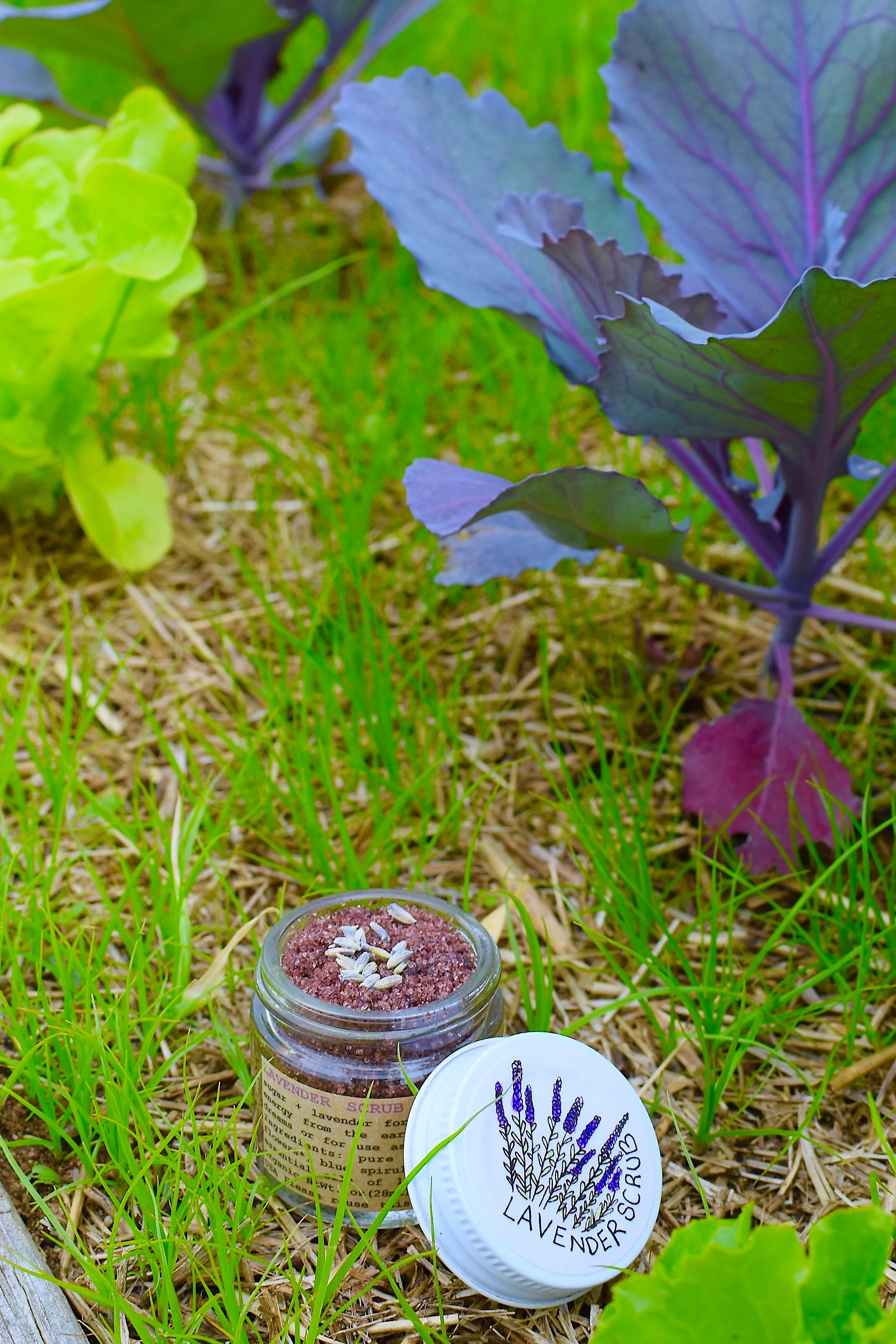 Lavender Scrub - Image 4