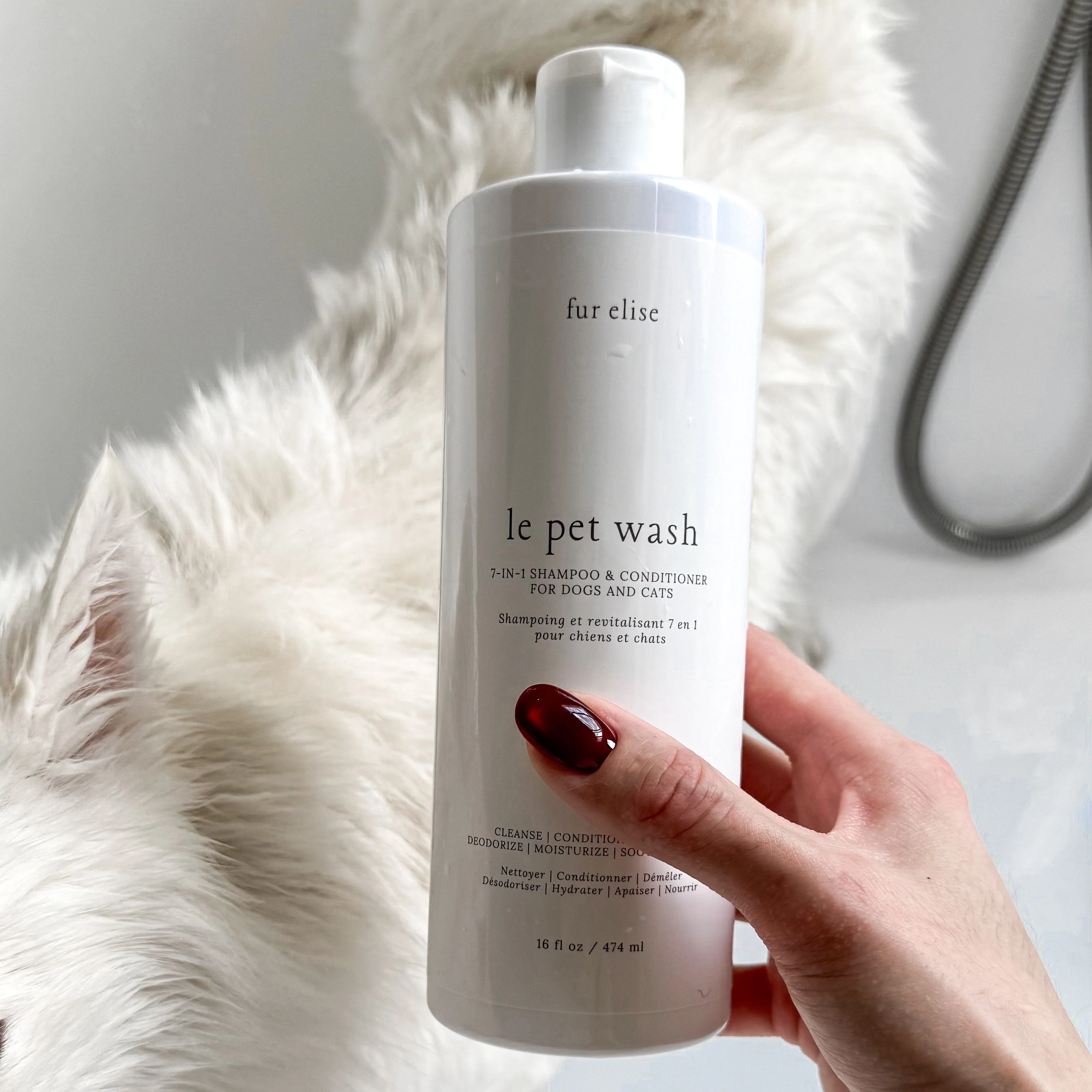Le Pet Wash - Image 4