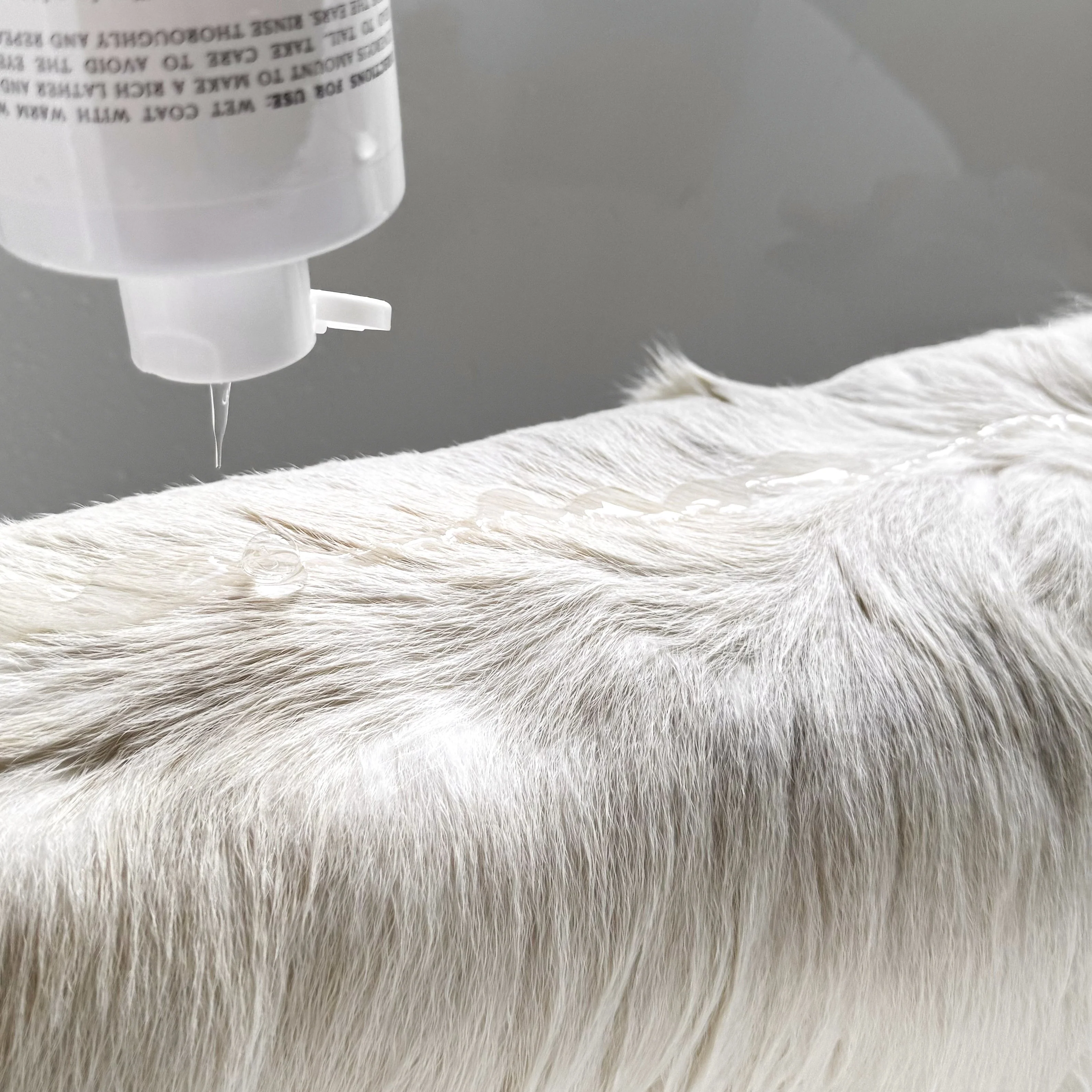 Le Pet Wash - Image 5