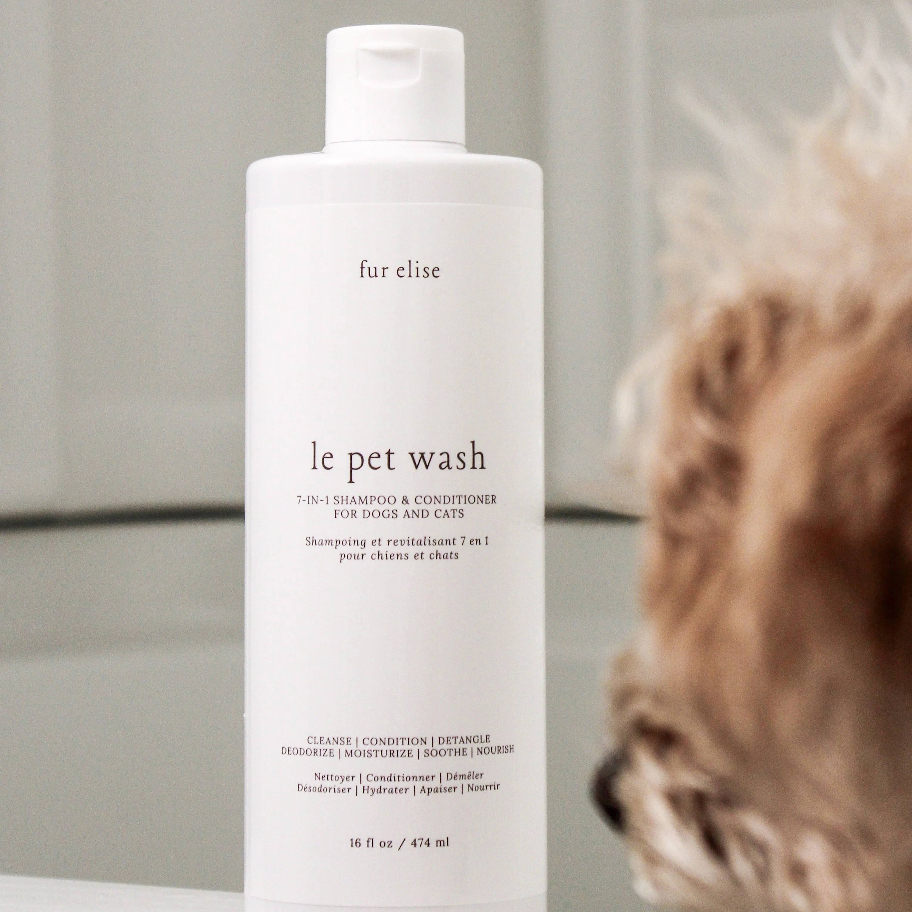 Le Pet Wash - Image 9