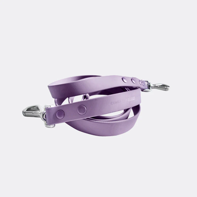 Leash - Image 11