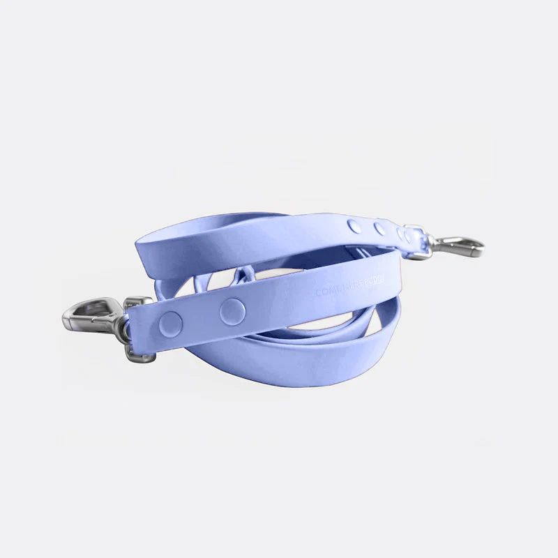 Leash - Image 4