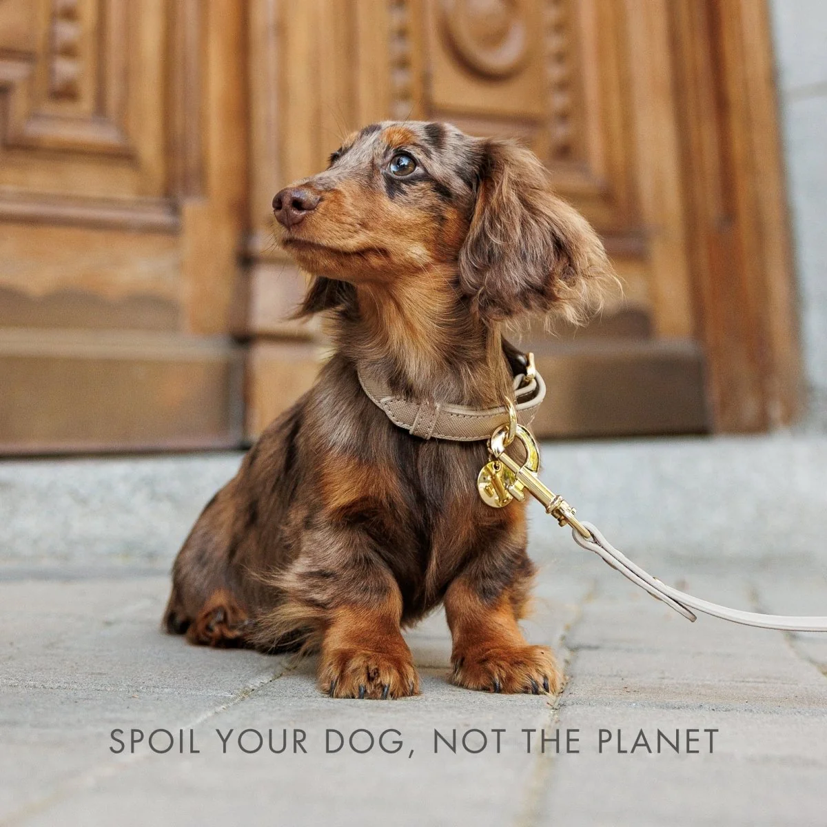 Leash 4ft - Vegan Leather - Image 22