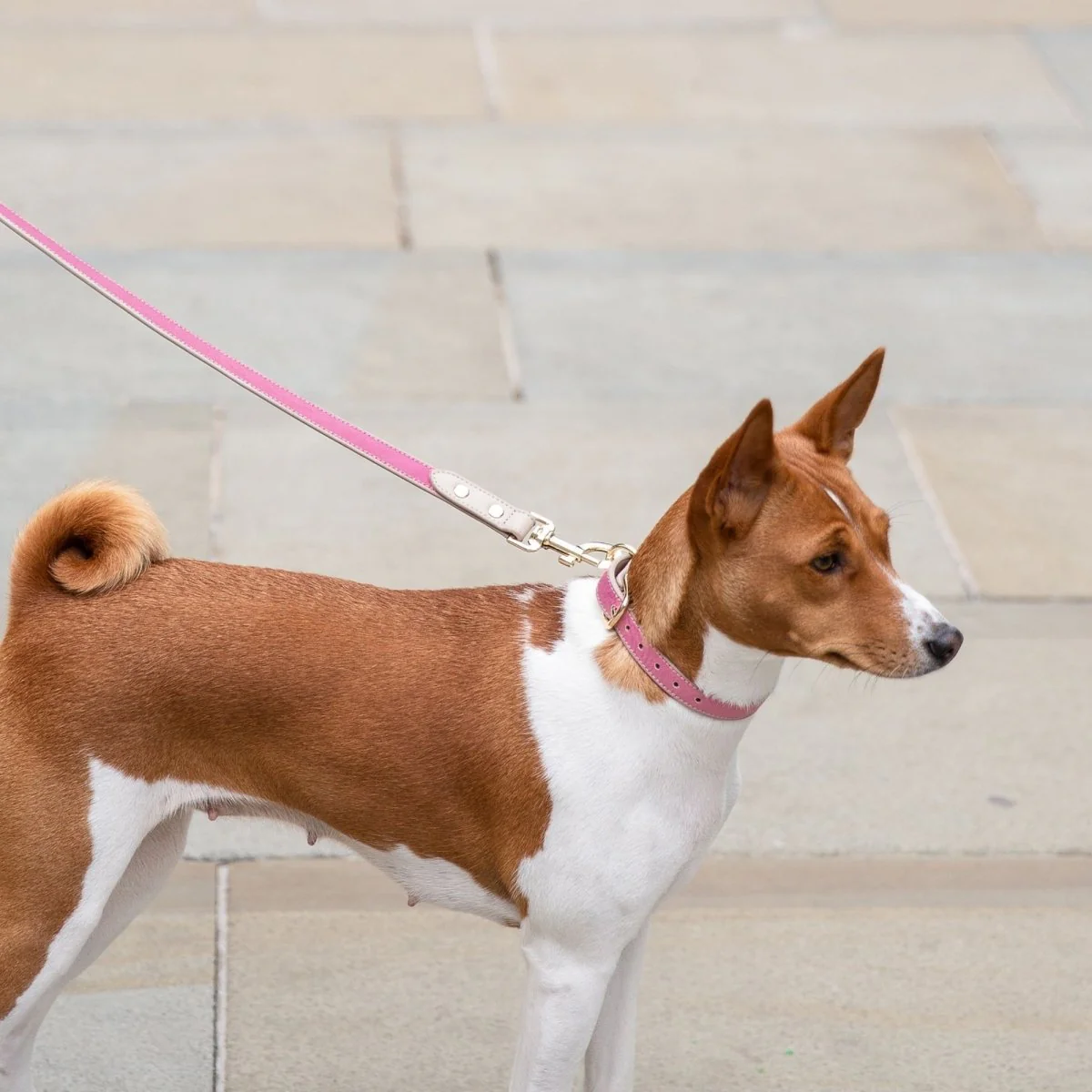 Leash 4ft - Vegan Leather - Image 30