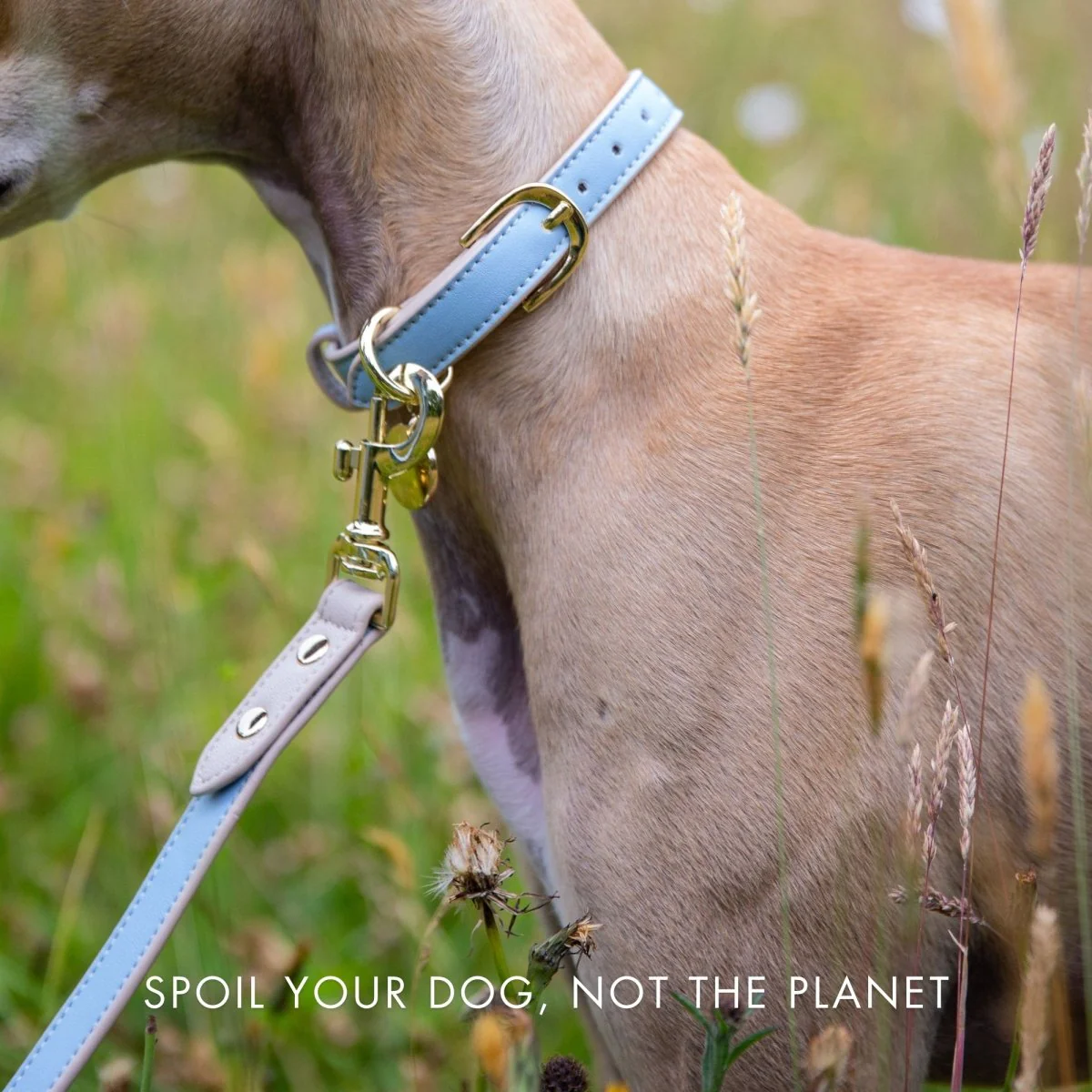 Leash 4ft - Vegan Leather - Image 36