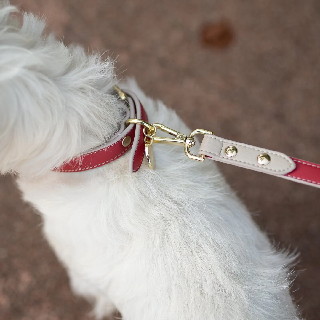 Leash 4ft - Vegan Leather - Copenhagen - Image 8