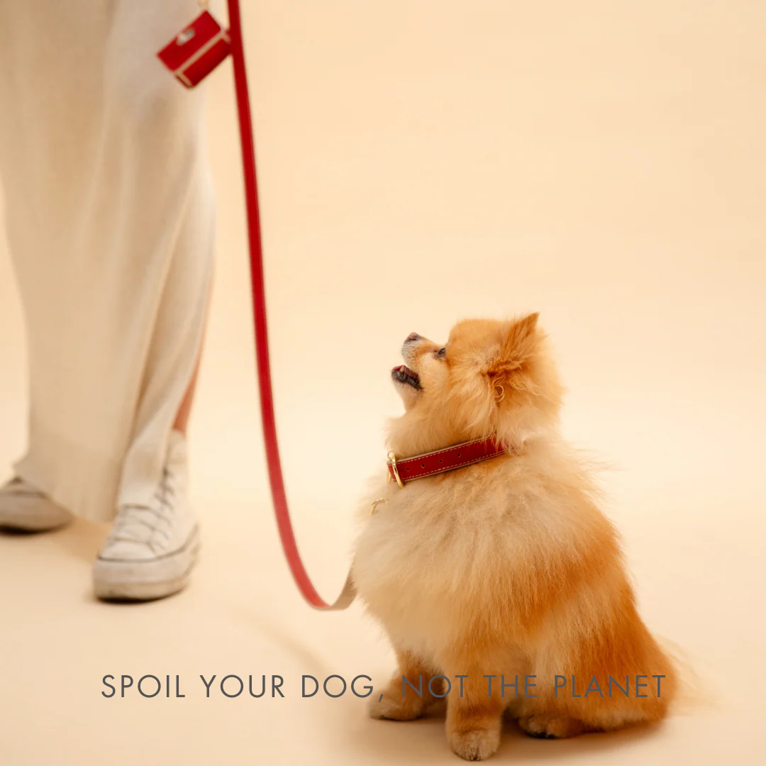 Leash 4ft - Vegan Leather - Copenhagen - Image 9