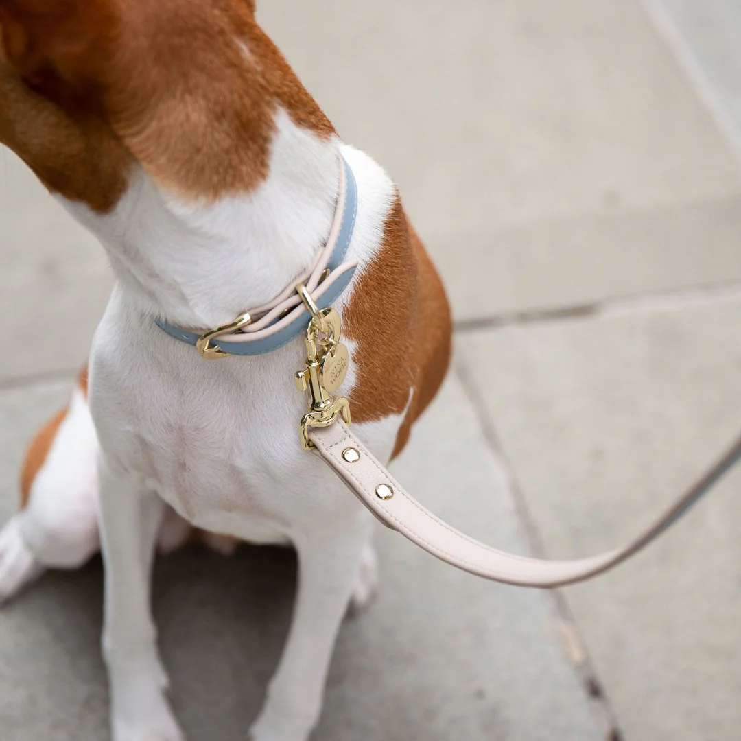 Leash 4ft - Vegan Leather - Cupertino - Image 12