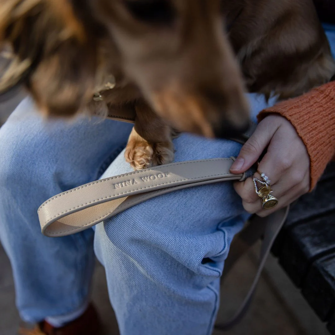 Leash 4ft - Vegan Leather - London - Image 5