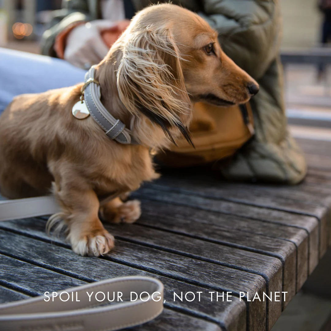 Leash 4ft - Vegan Leather - London - Image 6