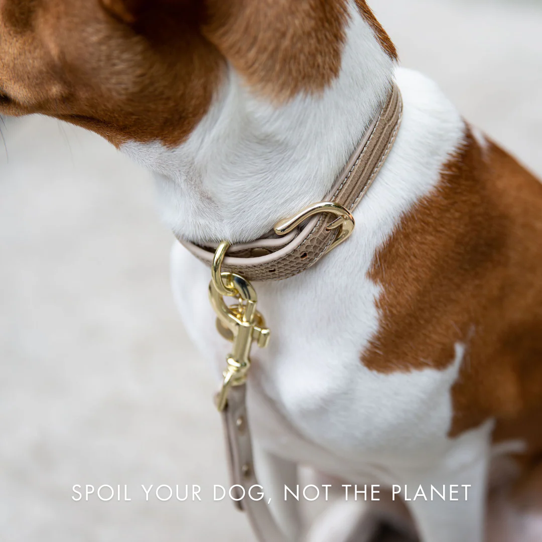 Leash 4ft - Vegan Leather - Milan - Image 12