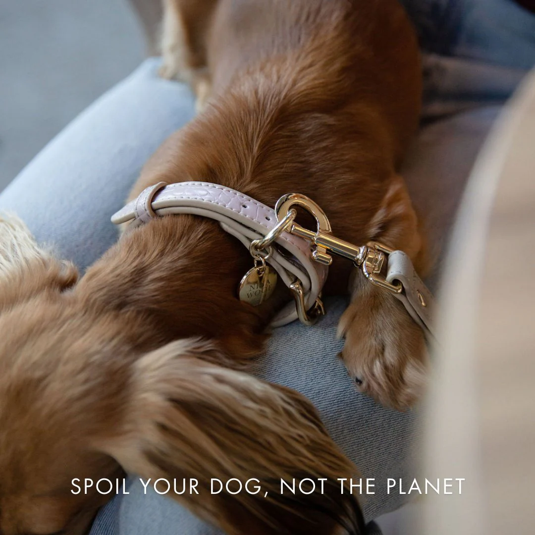 Leash 4ft - Vegan Leather - Milan - Image 6