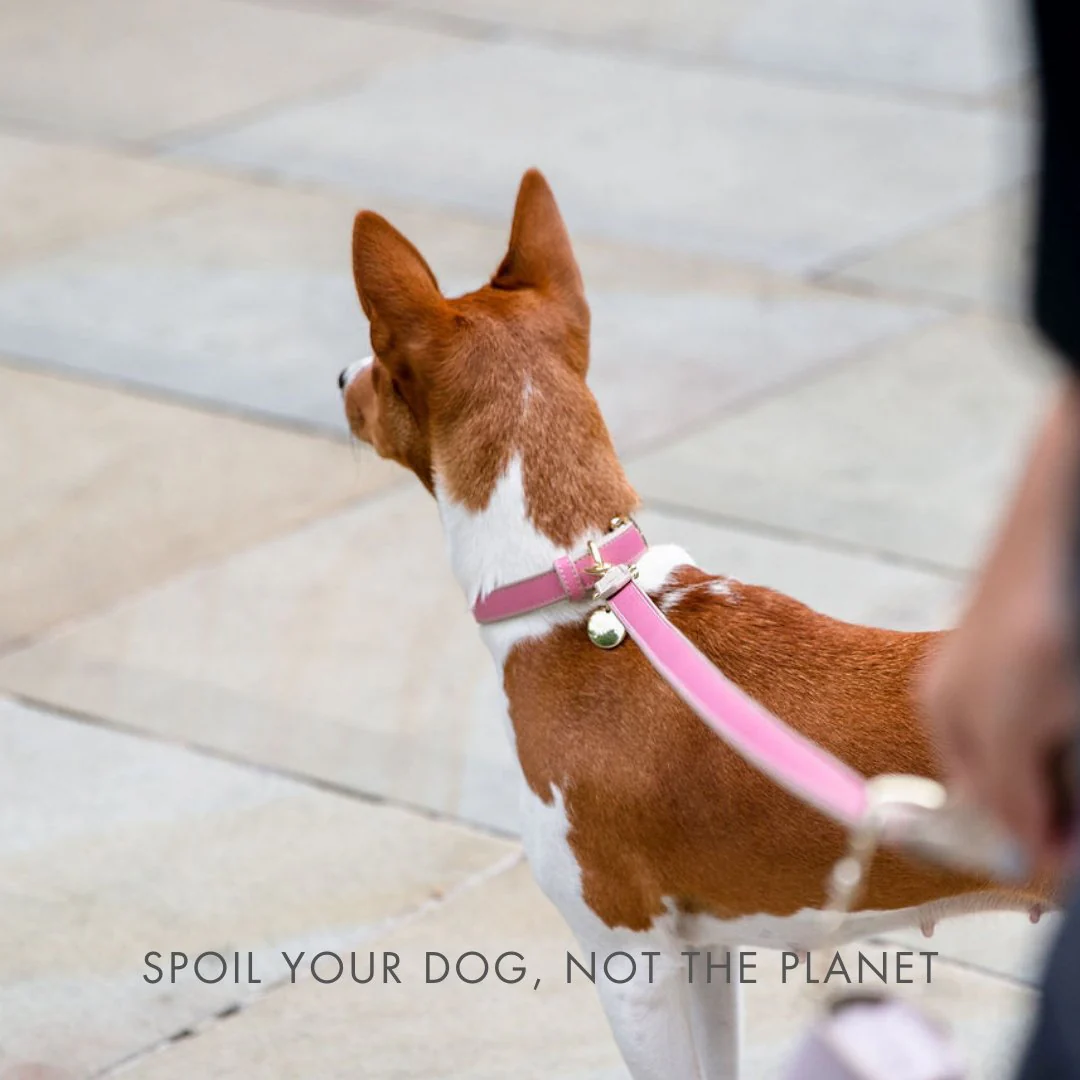 Leash 4ft - Vegan Leather - Rio - Image 7