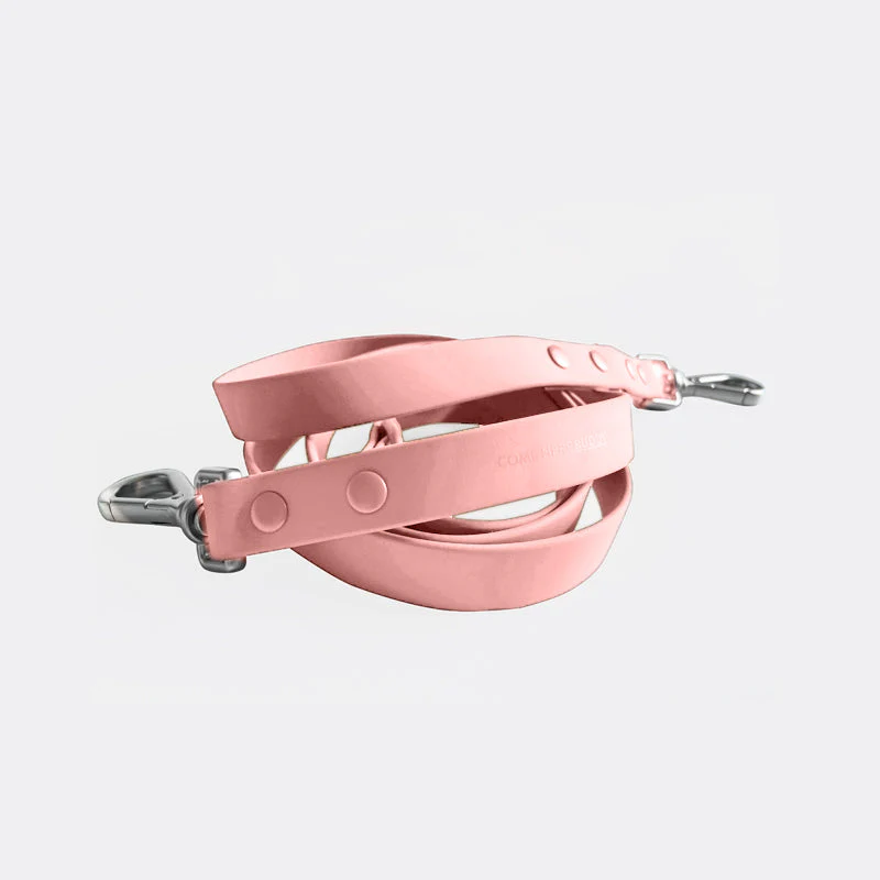 Leash - Image 5
