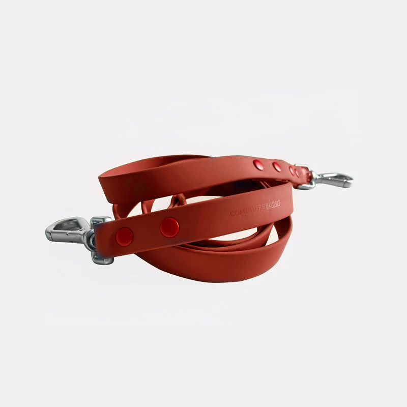 Leash - Image 8