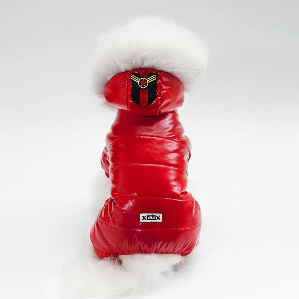 Leather Hooded Thickened Dog Jacket - Image 6