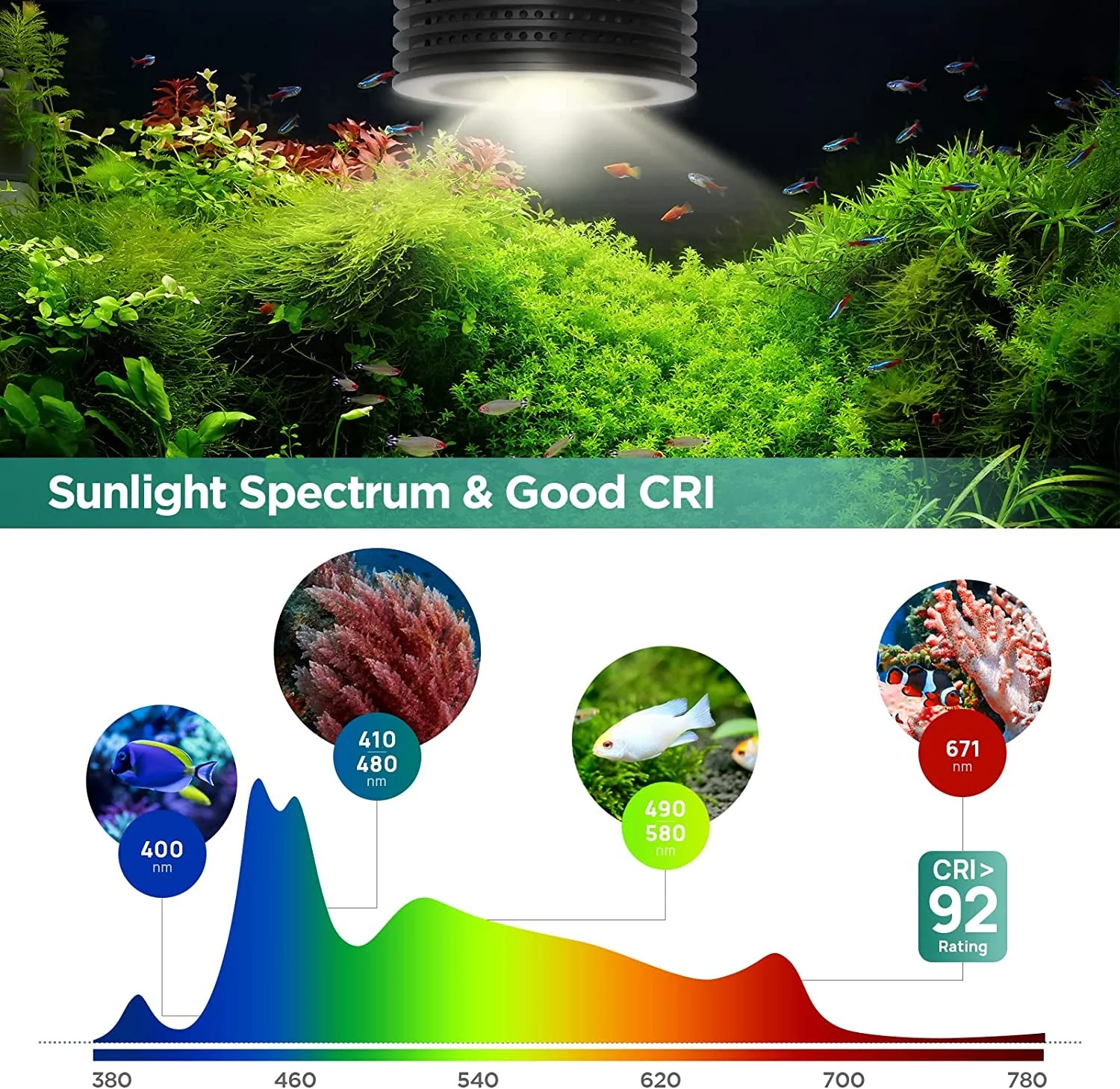 LED Aquarium Light, Planted Tank Light 4 Channels Remote Control - Image 5