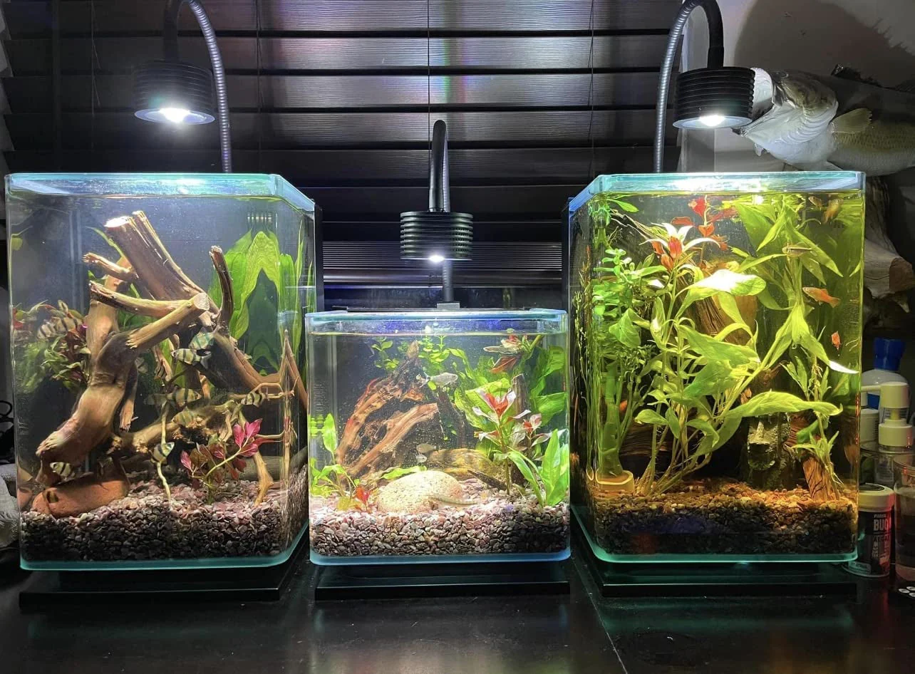 LED Aquarium Light, Planted Tank Light 4 Channels Remote Control - Image 7