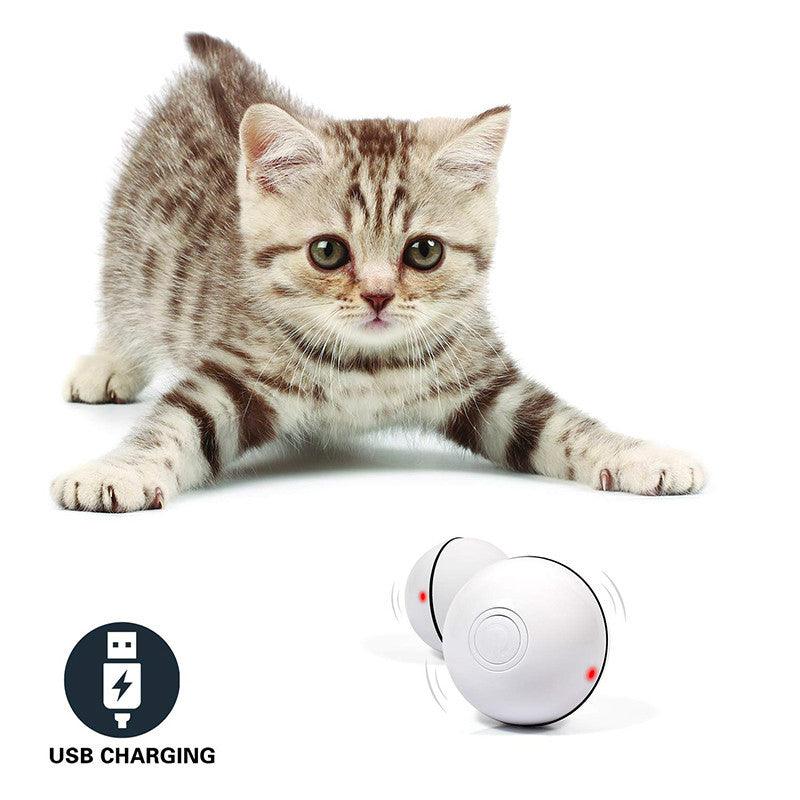 LED Laser Rolling Ball Cat Toy - Image 10