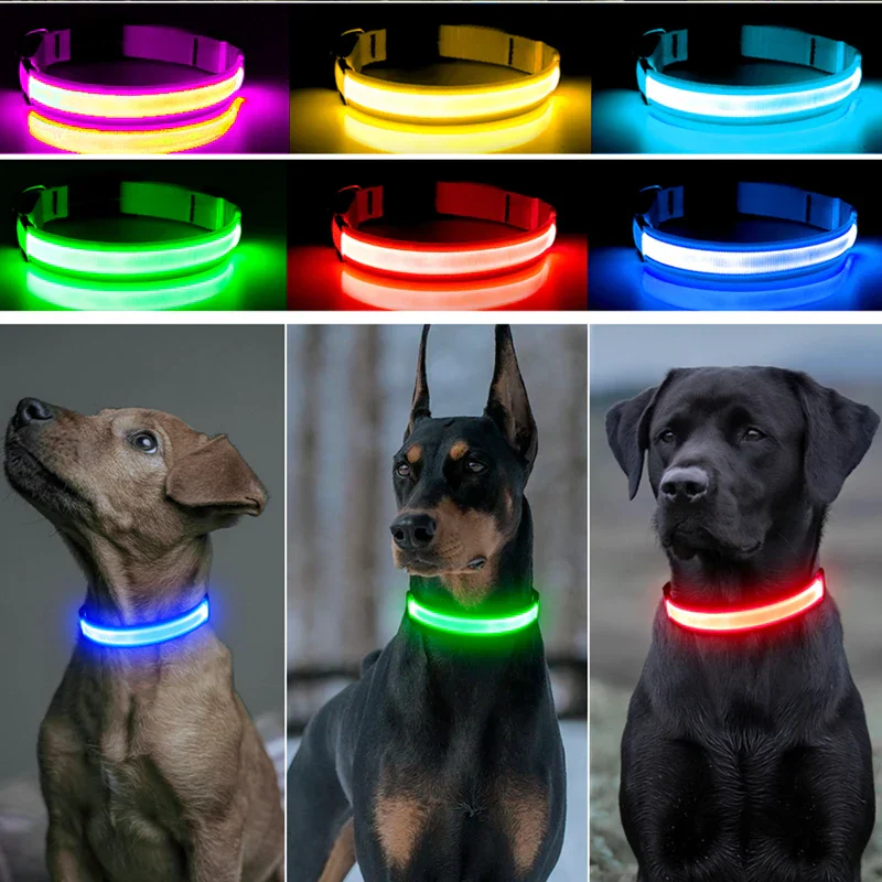 LED Pet Dog Collar for Night Safety | Bright USB Rechargeable - Image 11