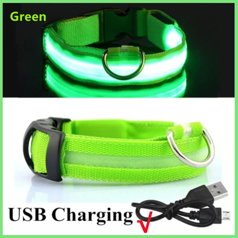 LED Pet Dog Collar for Night Safety | Bright USB Rechargeable - Image 15