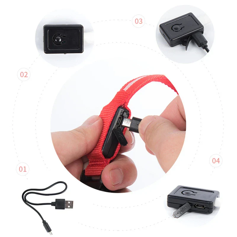 LED Pet Dog Collar for Night Safety | Bright USB Rechargeable - Image 17