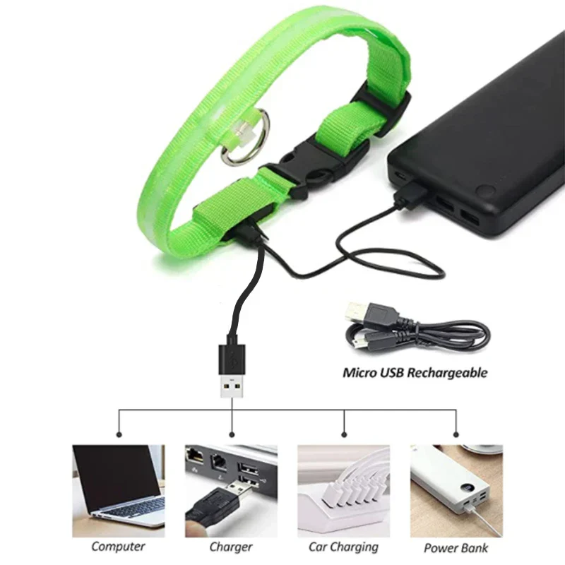 LED Pet Dog Collar for Night Safety | Bright USB Rechargeable - Image 18