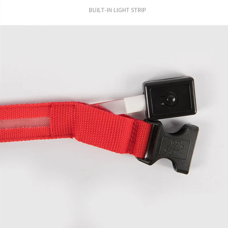 LED Pet Dog Collar for Night Safety | Bright USB Rechargeable - Image 25