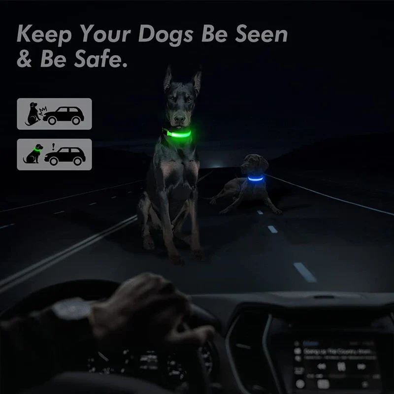 LED Pet Dog Collar for Night Safety | Bright USB Rechargeable - Image 29