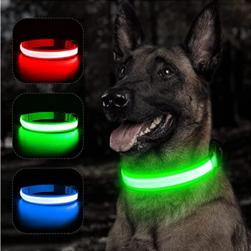 LED Pet Dog Collar for Night Safety | Bright USB Rechargeable - Image 3