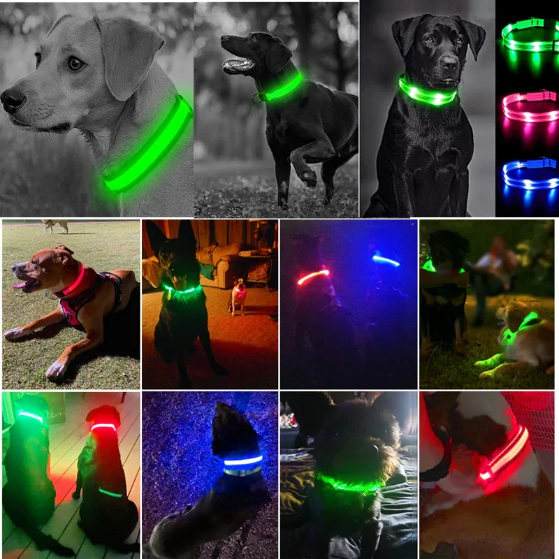 LED Pet Dog Collar for Night Safety | Bright USB Rechargeable - Image 30