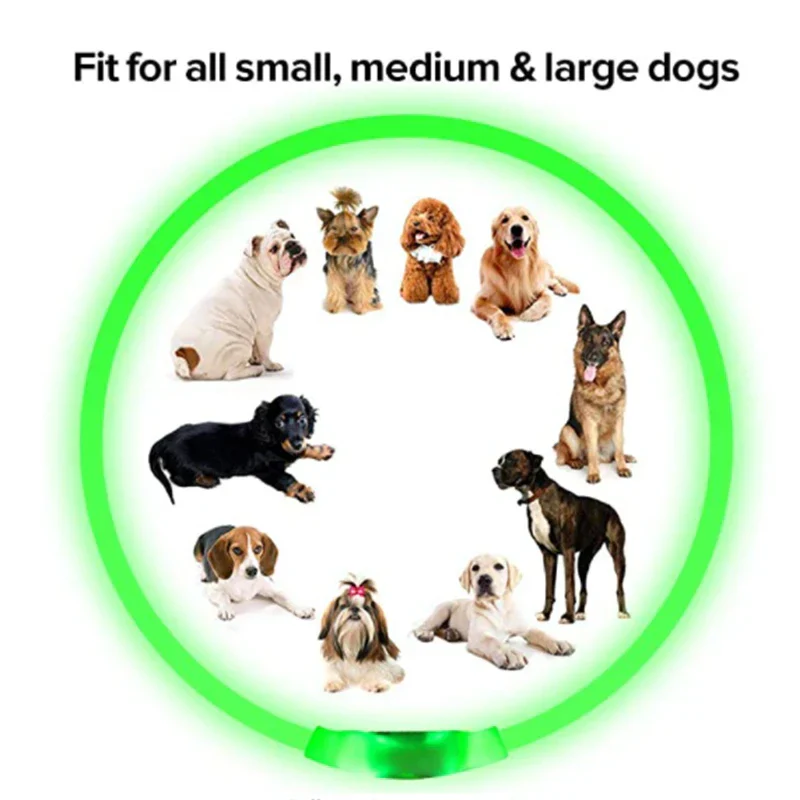 LED Pet Dog Collar for Night Safety | Bright USB Rechargeable - Image 31