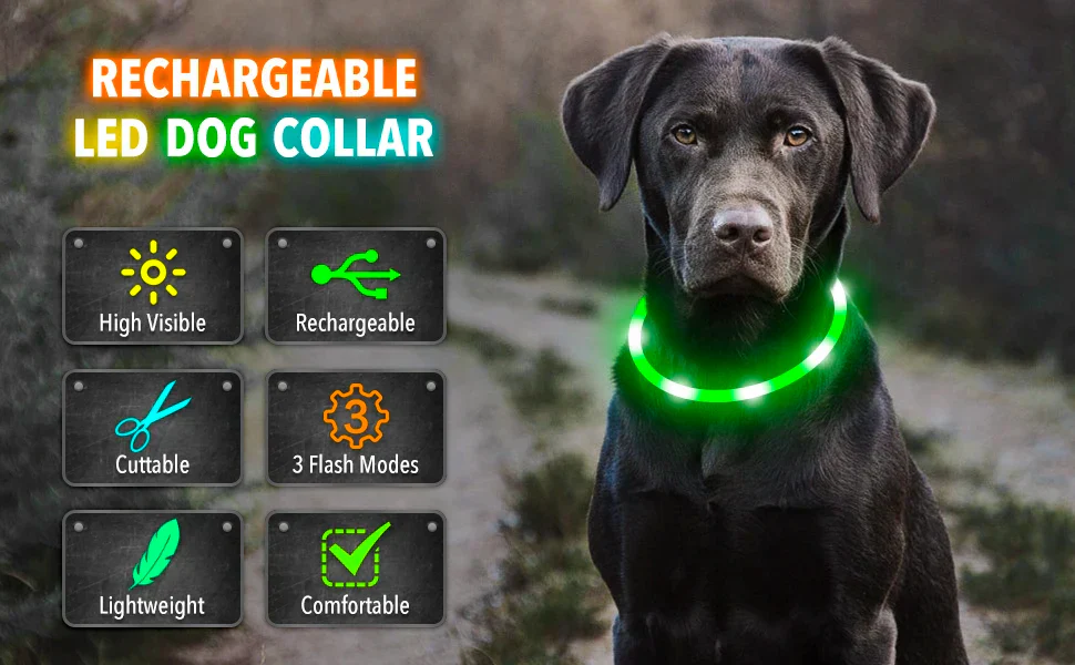 LED Pet Dog Collar for Night Safety | Bright USB Rechargeable - Image 47