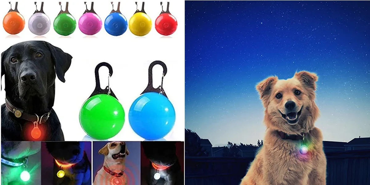 LED Pet Dog Collar for Night Safety | Bright USB Rechargeable - Image 50